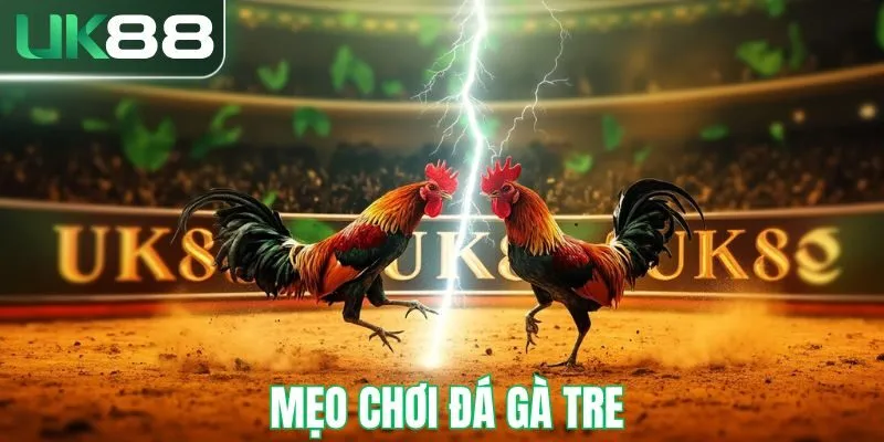Mẹo chơi đá gà tre chuẩn xác