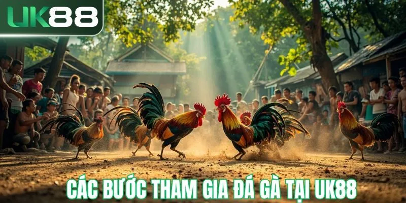 Các bước tham gia trải nghiệm đá gà tại UK88