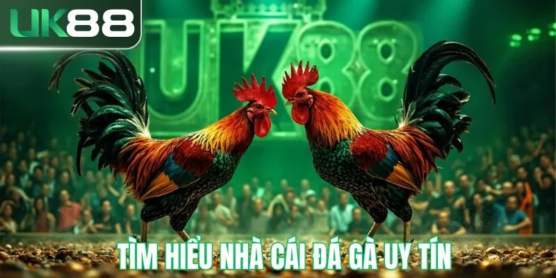 nha-cai-uy-tin-uk88-thurm-1