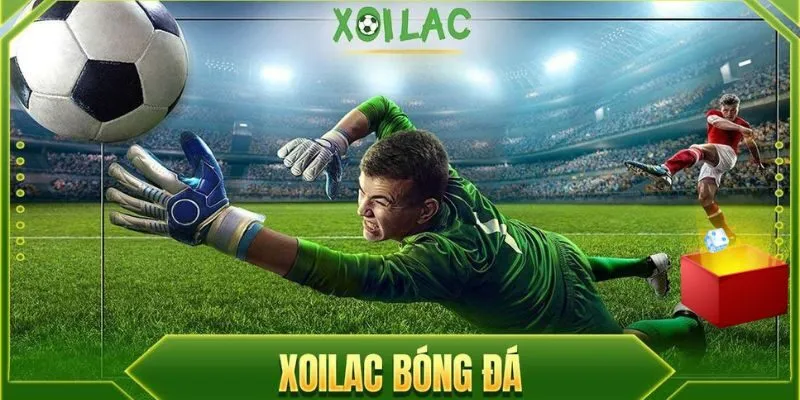 Cách nhận biết trang xoilac uy tín